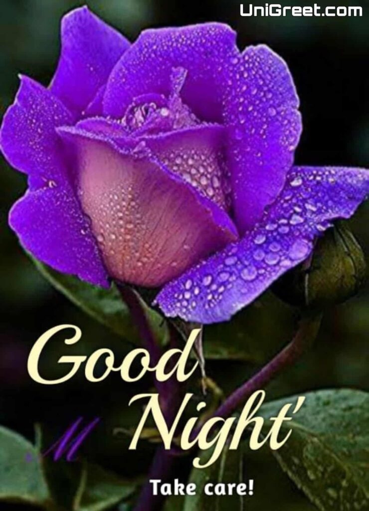 Beautiful Good Night Flowers