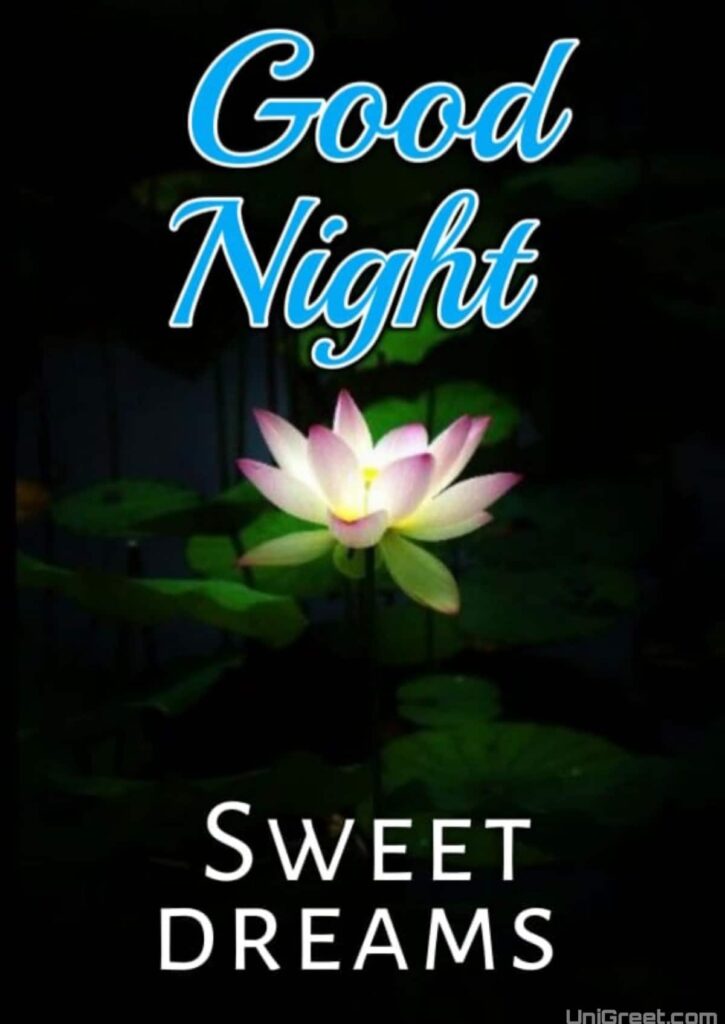 Good Night lotus Image