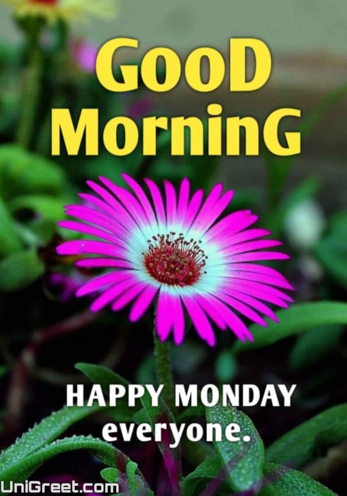 Good morning happy monday everyone