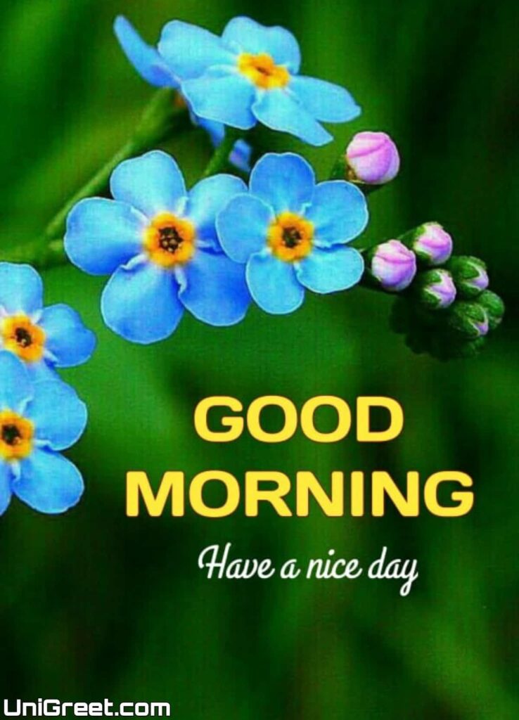 Good morning have a nice day HD Image