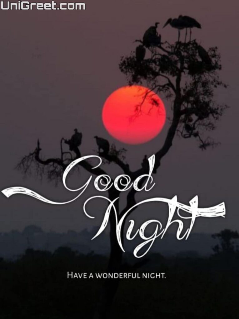 Good night have a wonderful night