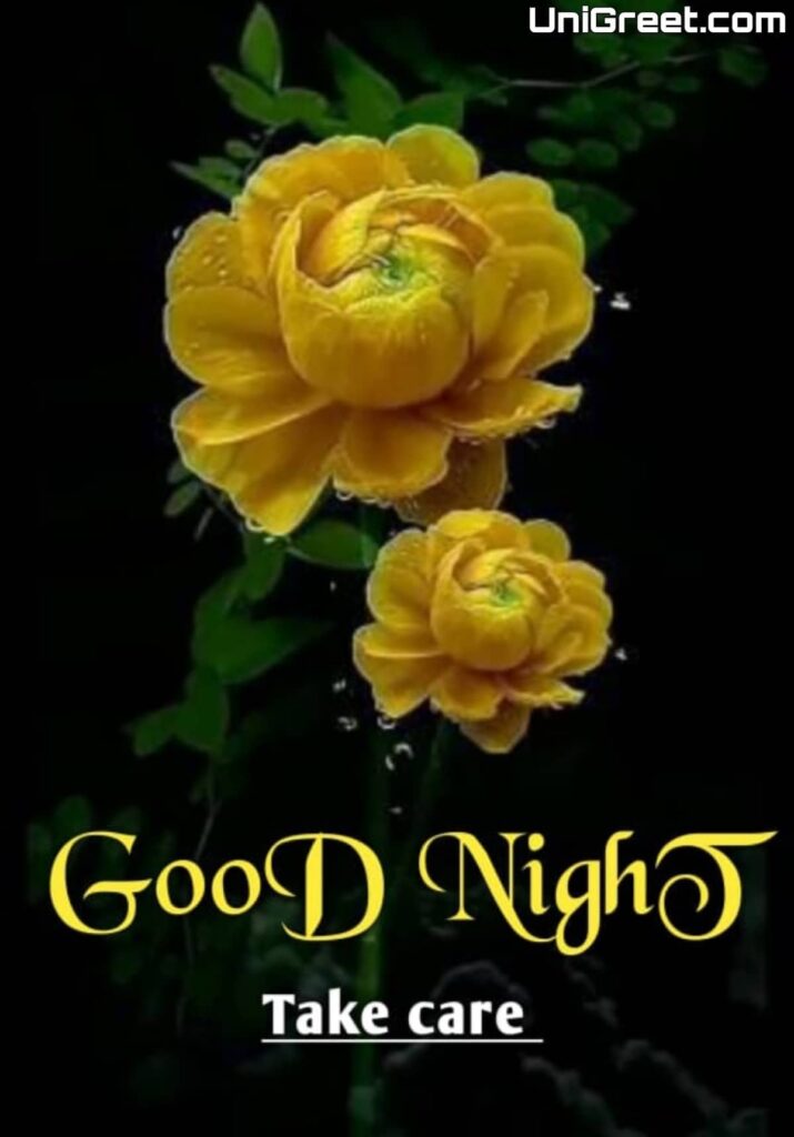 Goodnight flowers Goodnight flowers