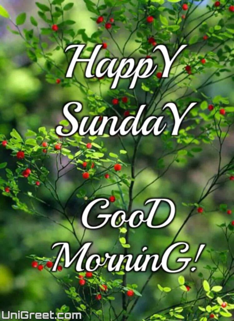 Happy Sunday Good morning image