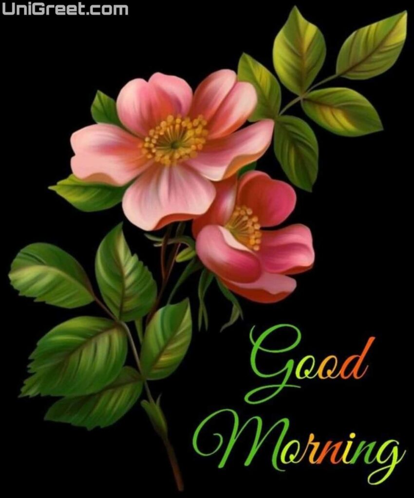 New good morning pic download
