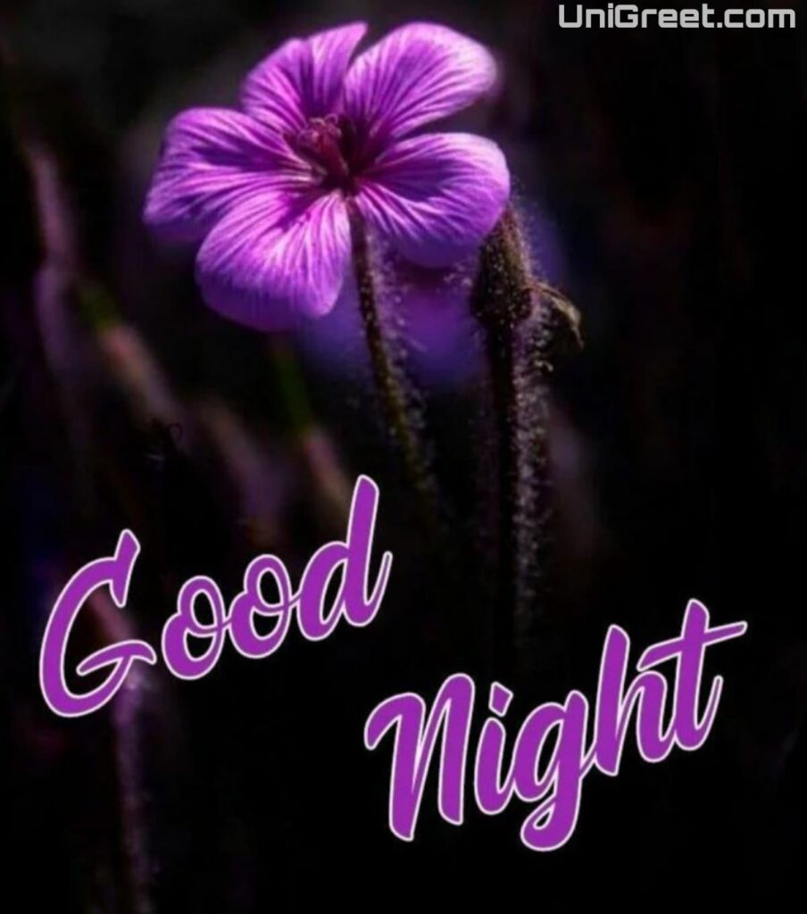 Nice Good Night Images Download