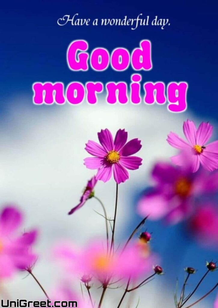 Pretty flowers good morning images Pretty flowers good morning images
