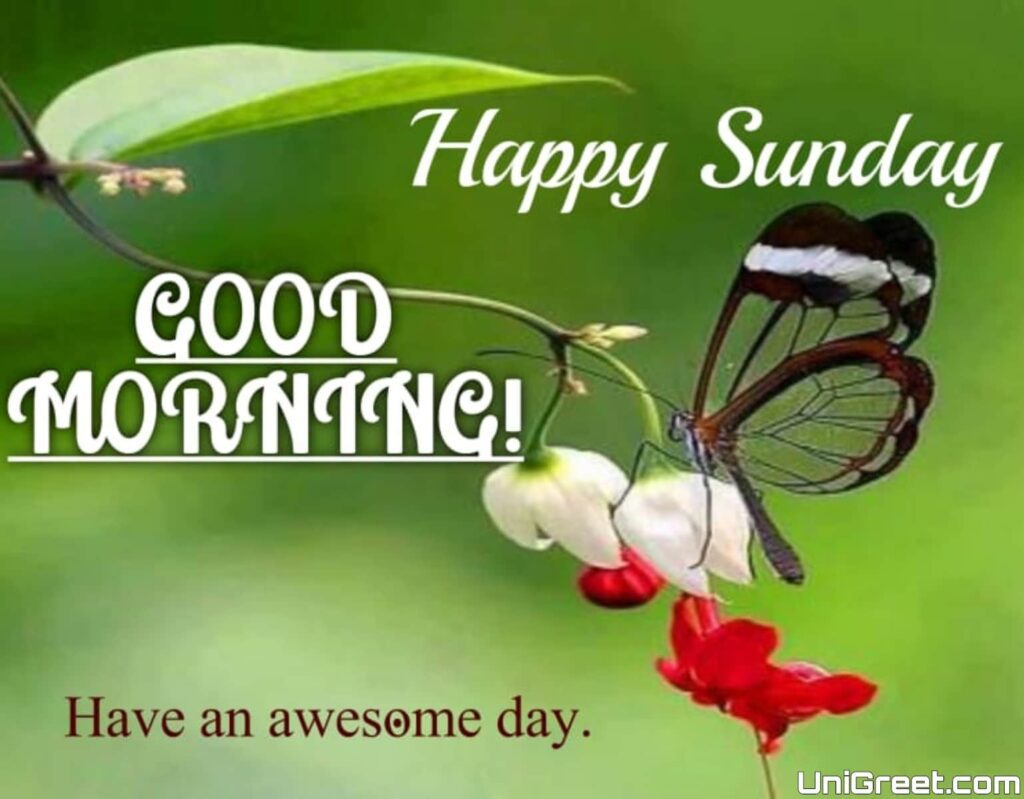 Happy sunday good morning status photo