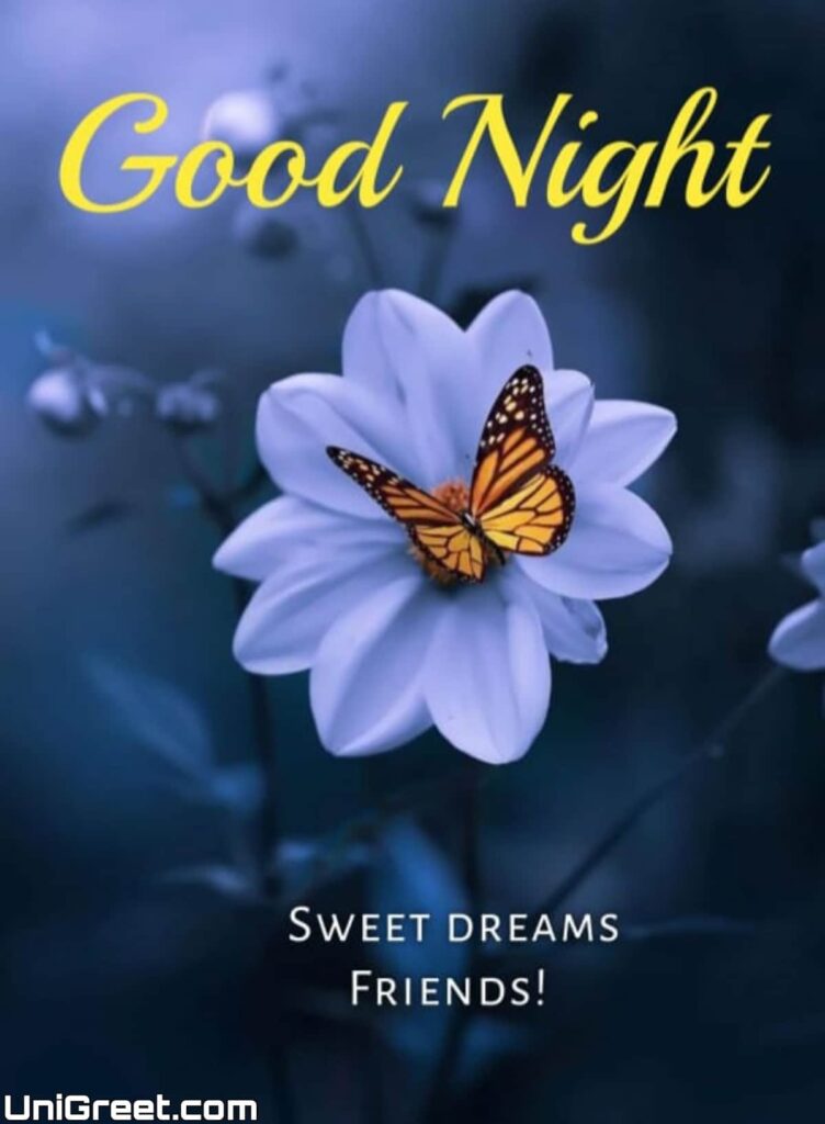 beautiful good night flowers beautiful good night flowers