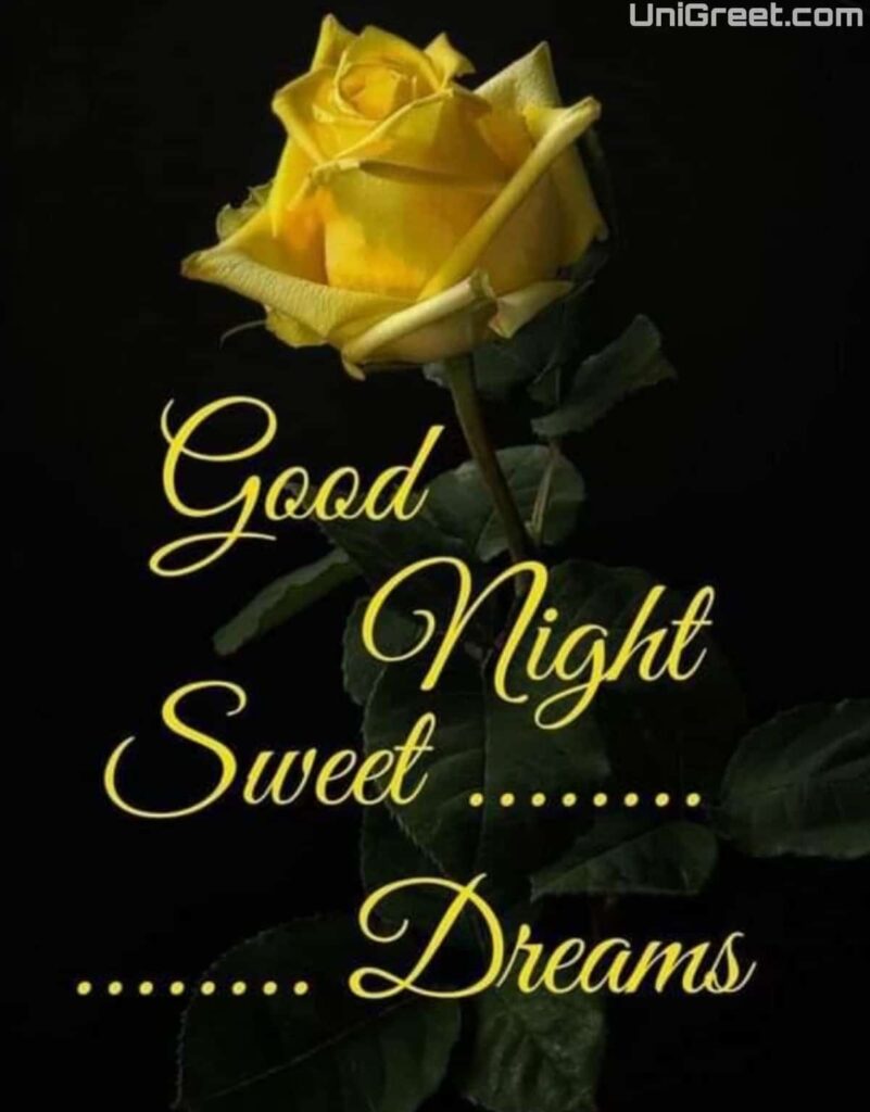 Yellow rose Good Night pic