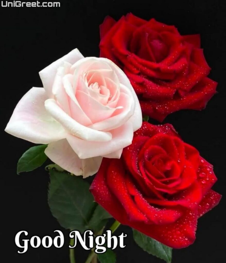 free good night image