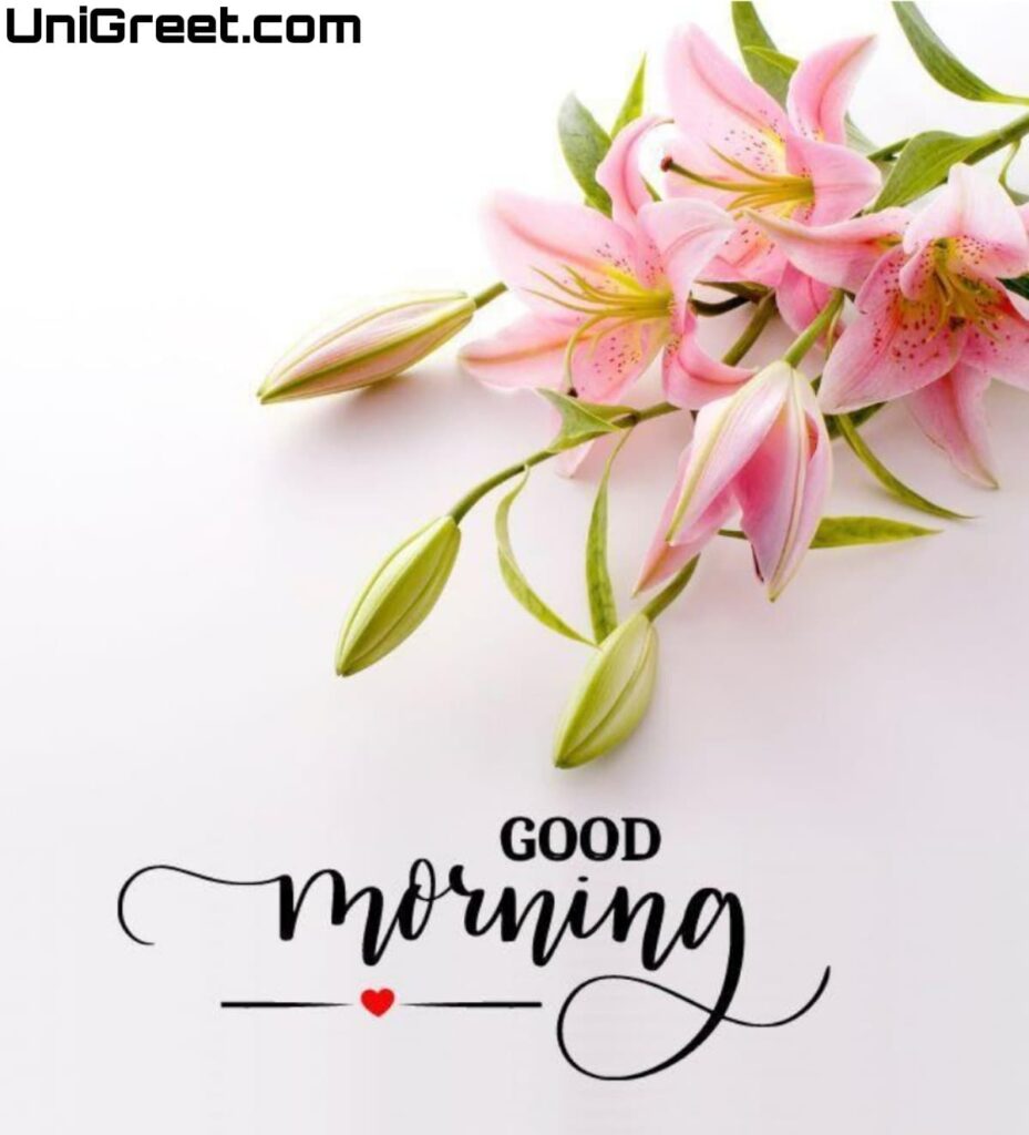 good morning beautiful pictures