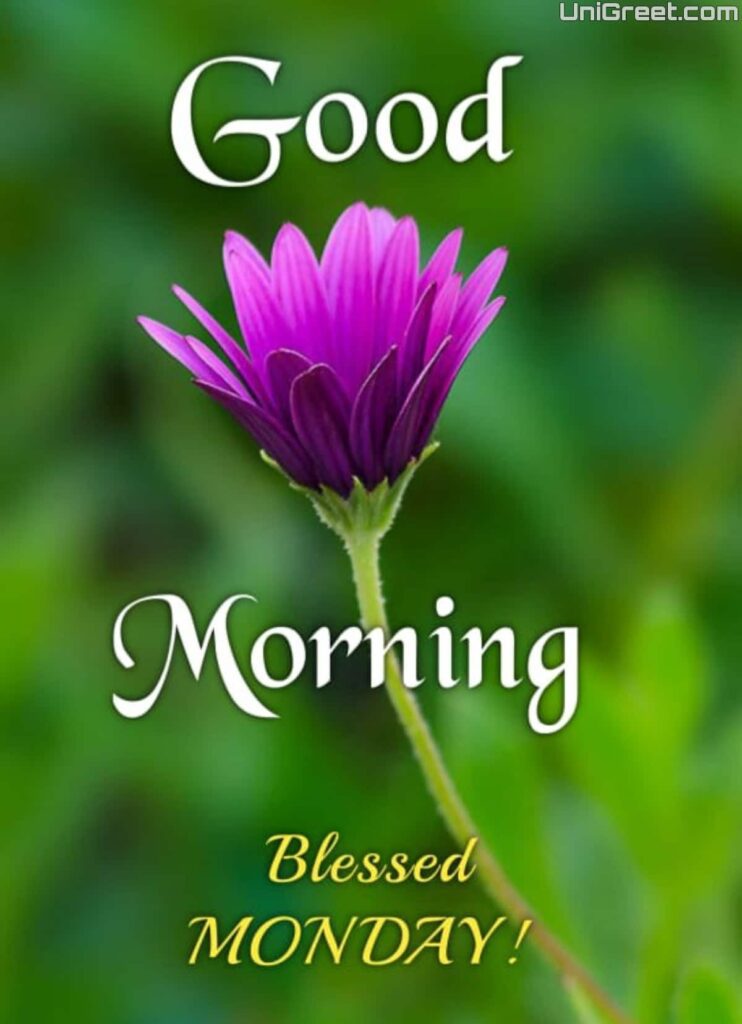 good morning blessed monday image good morning blessed monday image
