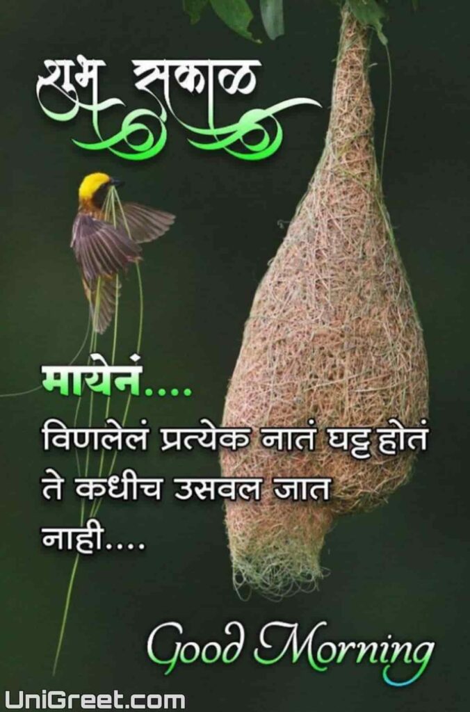 Pin by Amar Todo Dia on Bom Dia Marathi message, Happy good morning quotes, Good morning life quotes