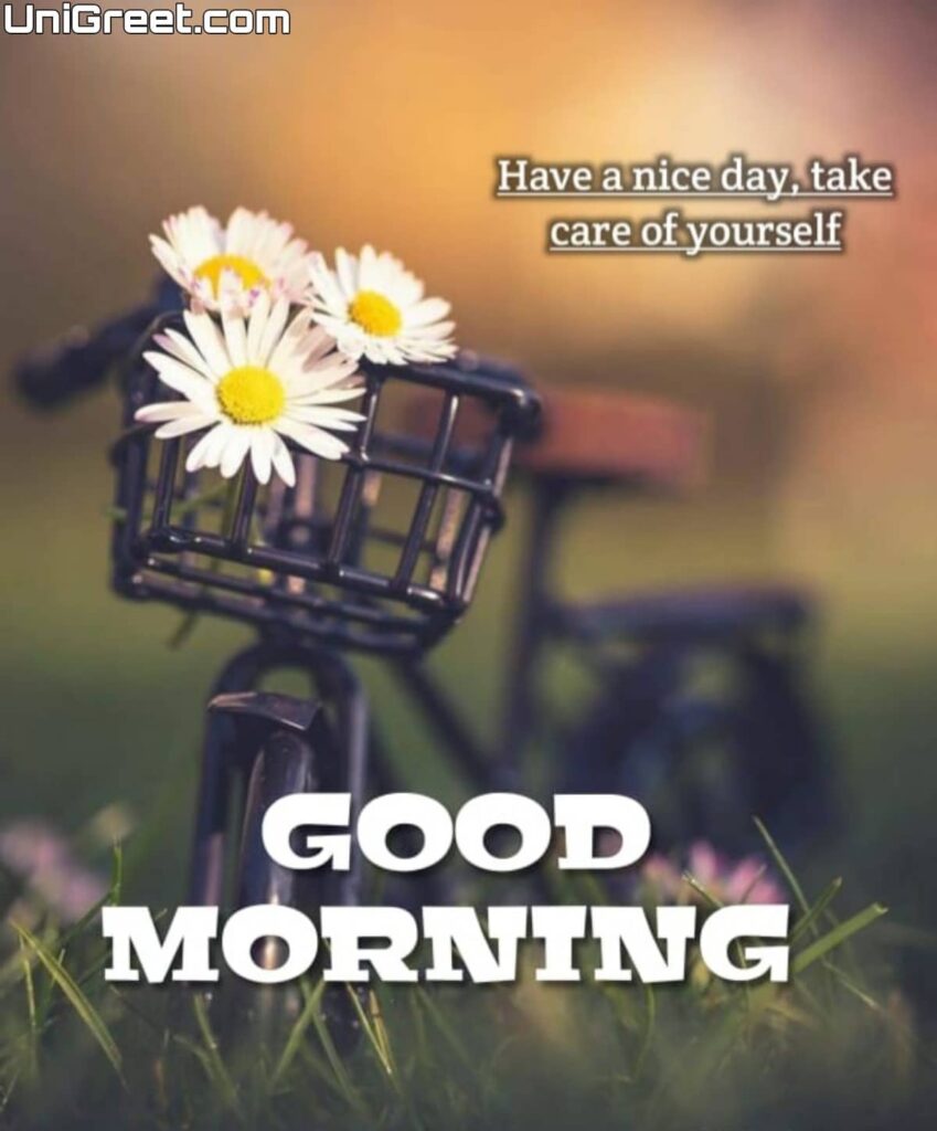 good morning bicycle flowers