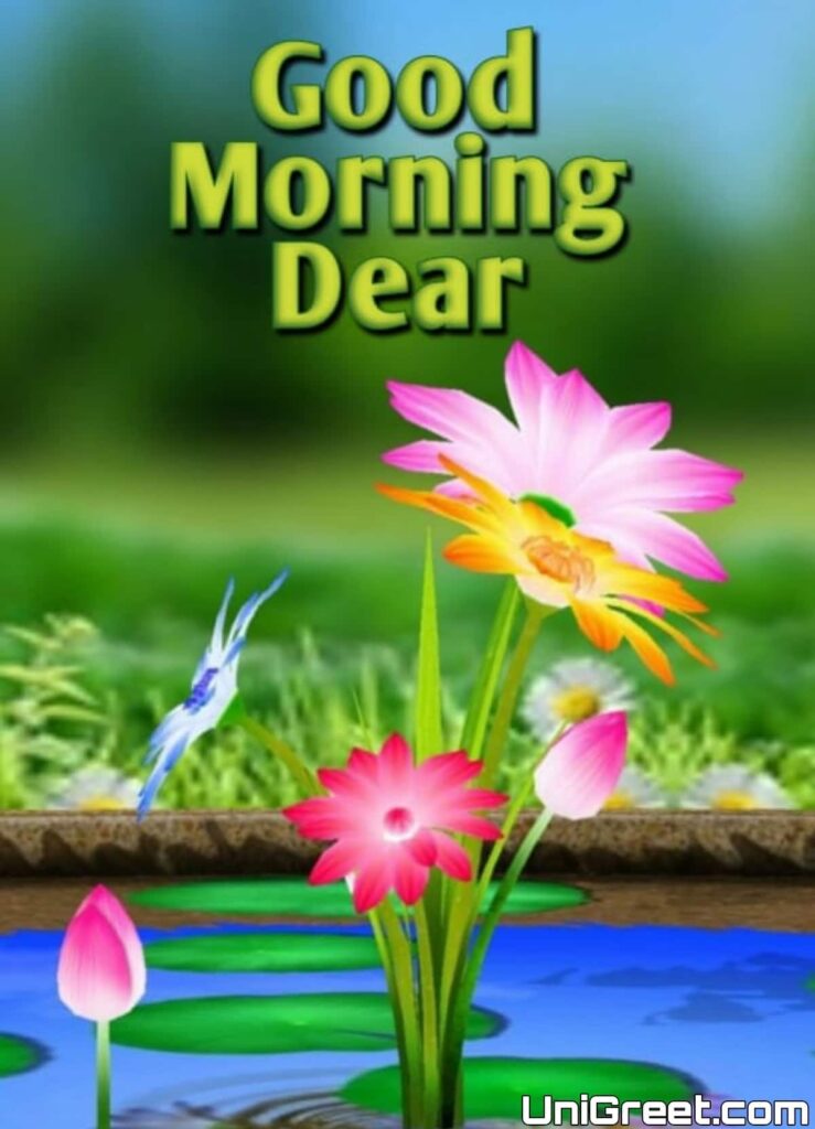 good morning dear flowers