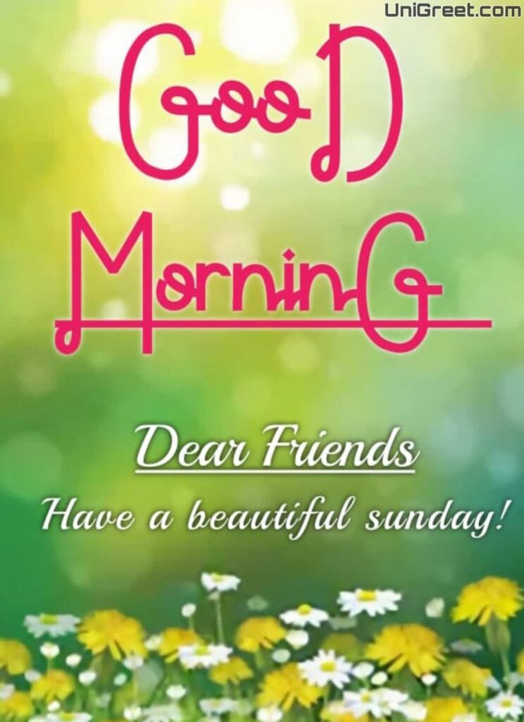 good morning friends have a wonderful sunday