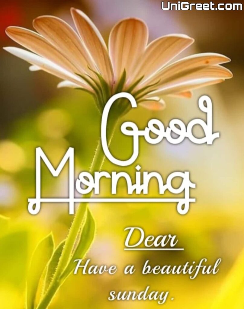 good morning dear have a beautiful sunday good morning dear have a beautiful sunday