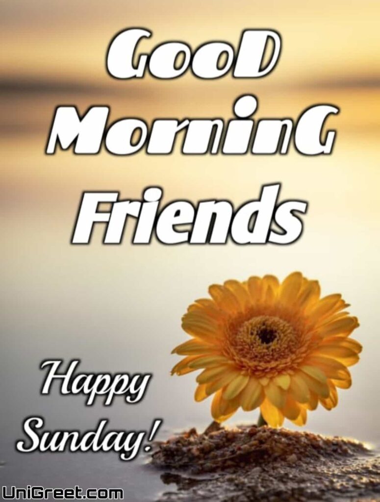 good morning friends happy sunday