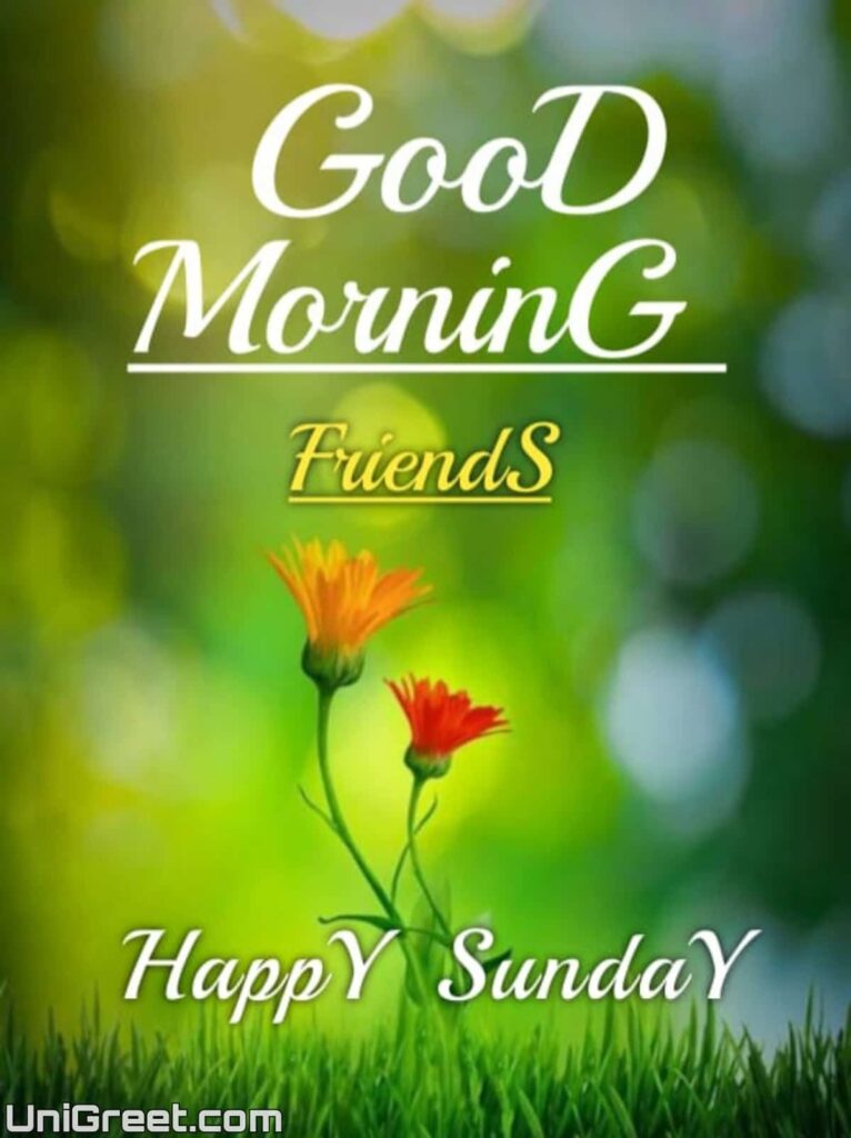 good morning friends happy sunday image