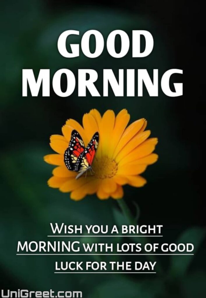 good morning image in english