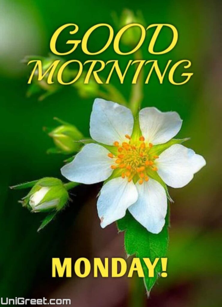 good morning monday images hd free download