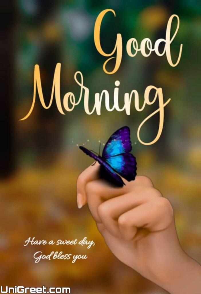 Good Morning In Images Shapes And Colors Of Flowers In Wallpapers - Good  Morning Images, Quotes, Wishes, Messages, greetings & eCards