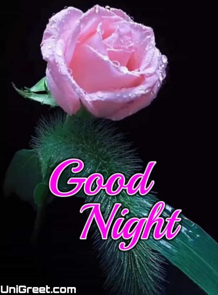 good night flowers good night flowers