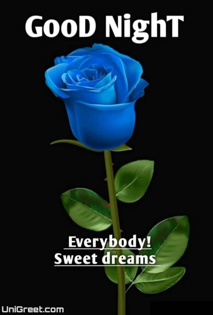 good night flowers for whatsapp good night flowers for whatsapp