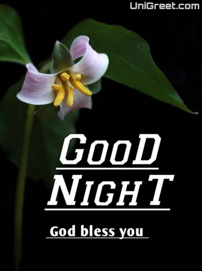 good night god bless you flower