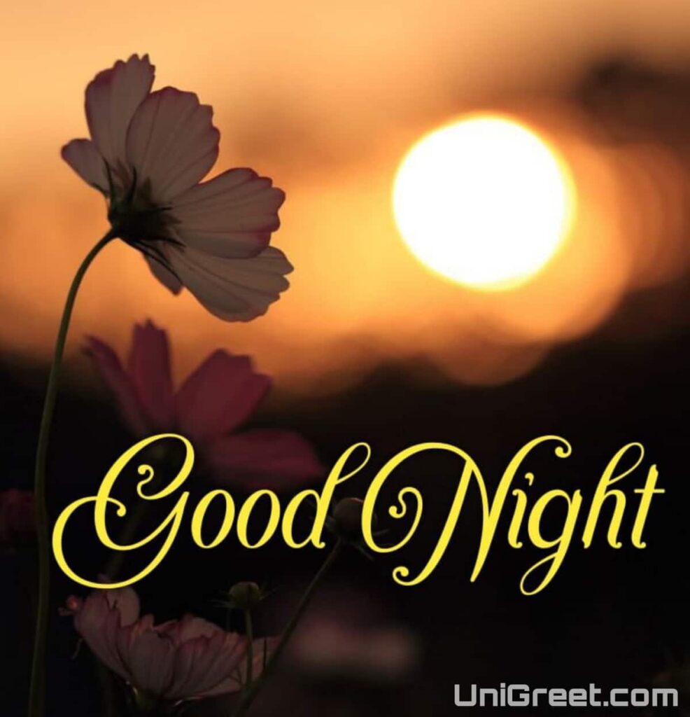 good night images with moon and flowers good night images with moon and flowers