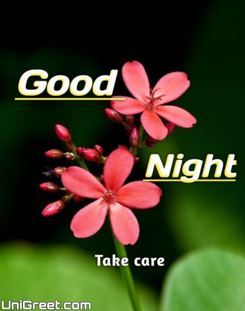 good night take care pic