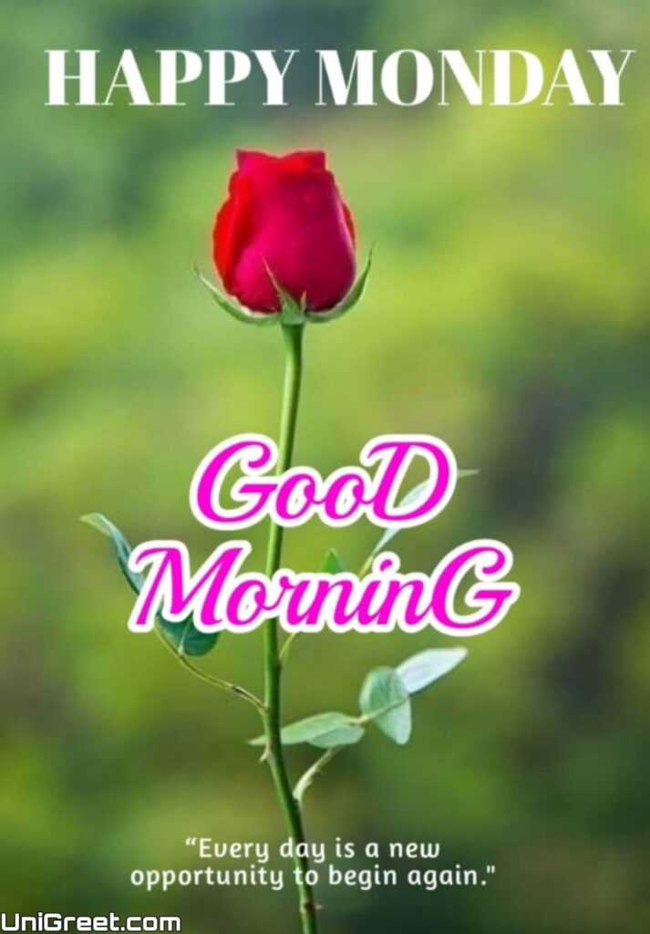 image of happy monday with good morning