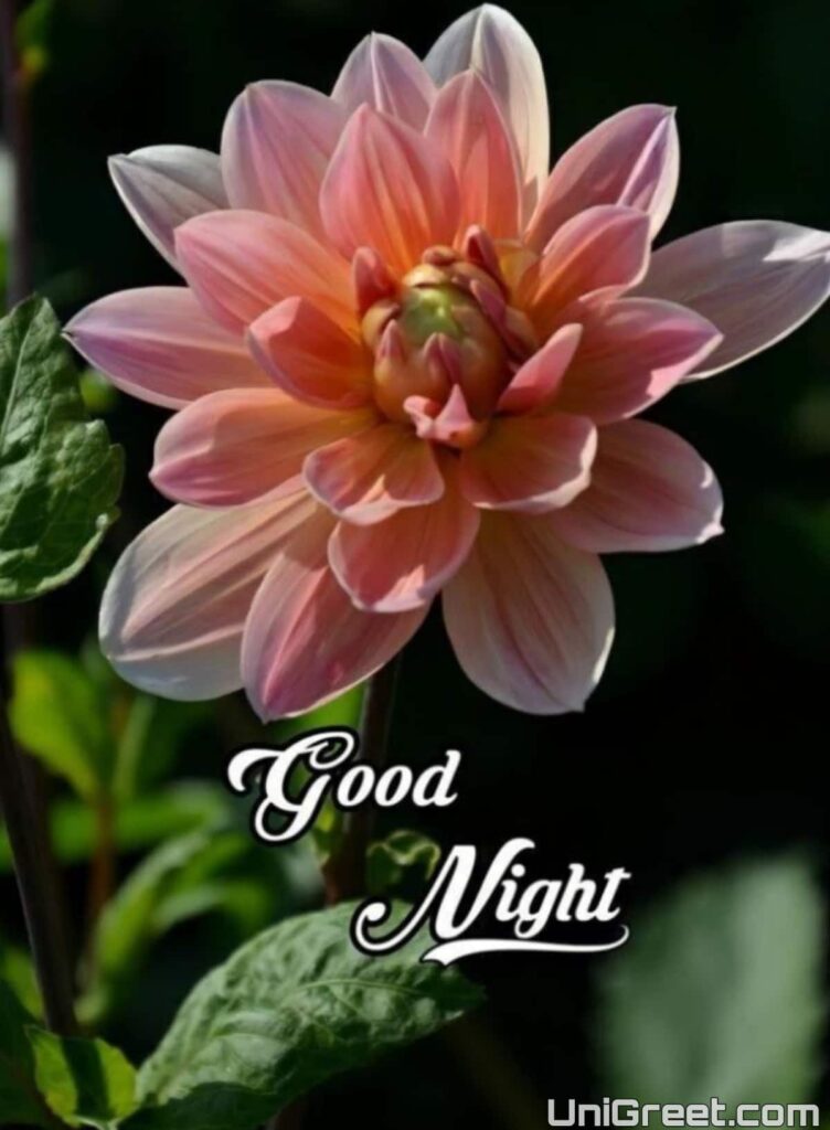 Latest Good Night Wallpaper