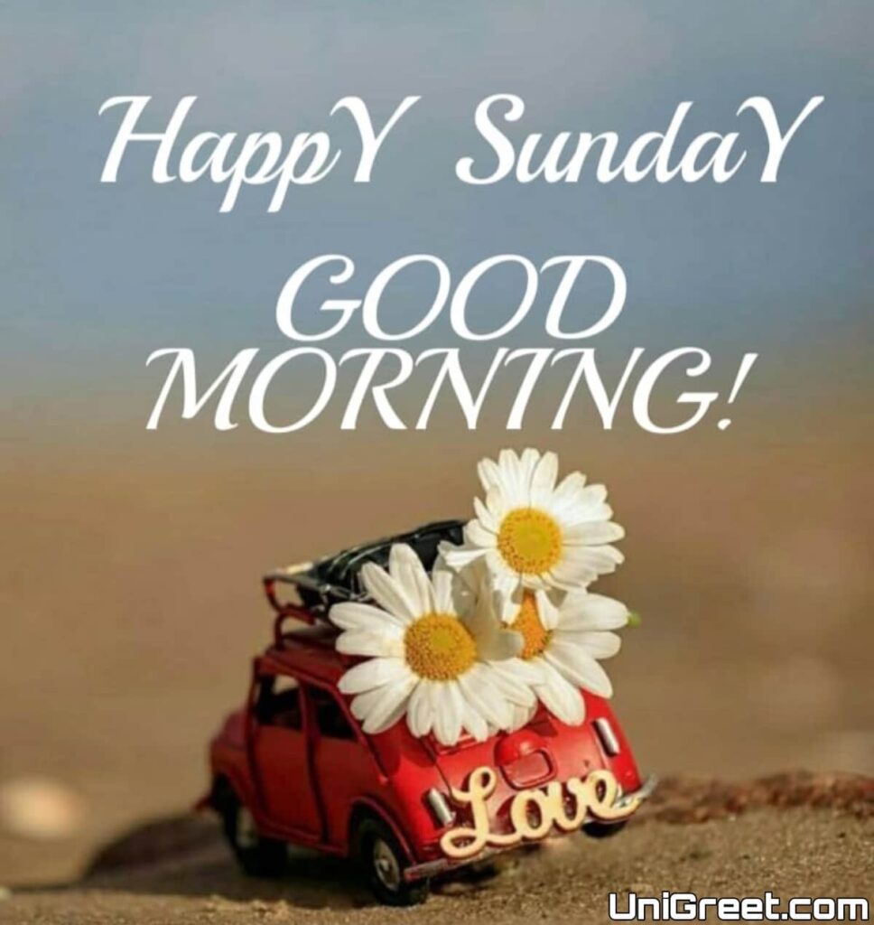 sunday gm pic sunday gm pic