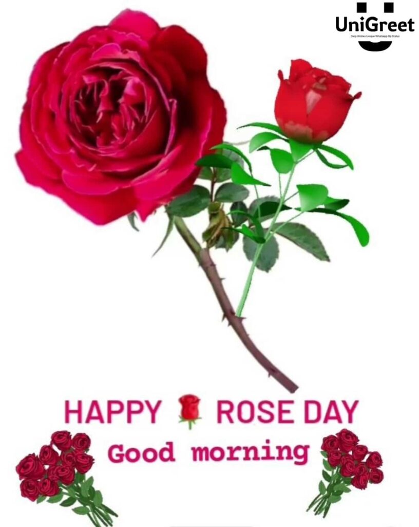 good morning happy rose day pic