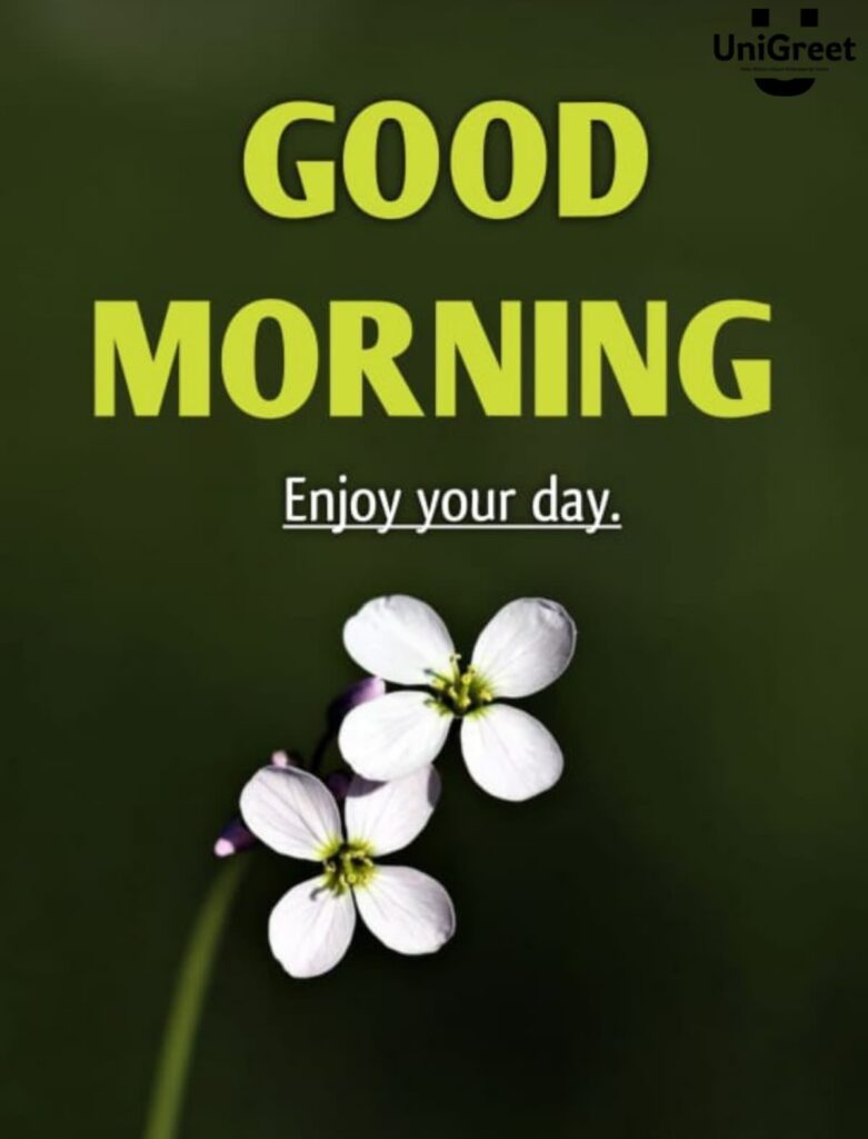 good morning images hd 4k 1080p download