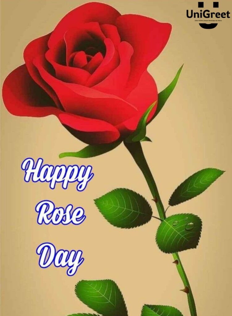 happy rose day beautiful pic