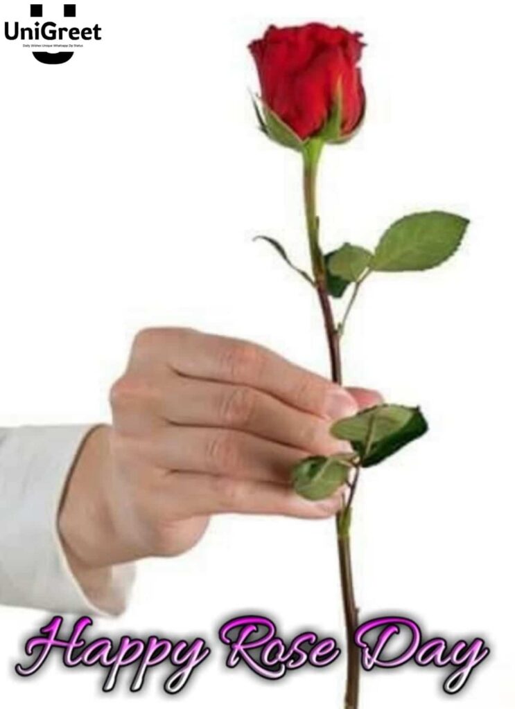 happy rose day hand pic