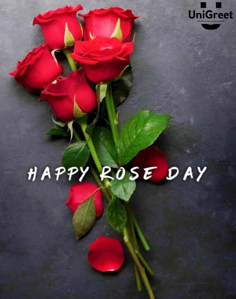 happy rose day ka photo