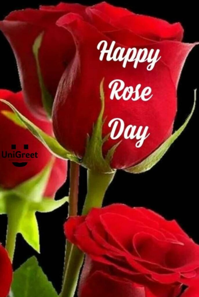 happy rose day photo