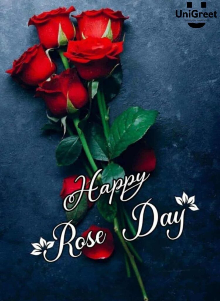 happy rose day pic download