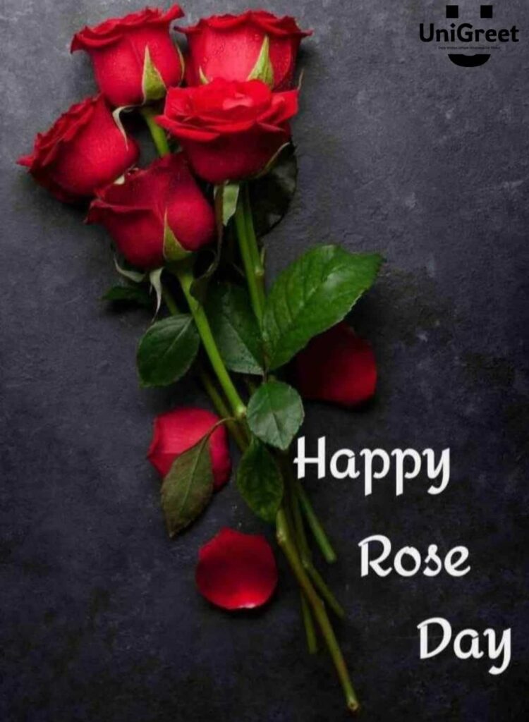 happy rose day status download