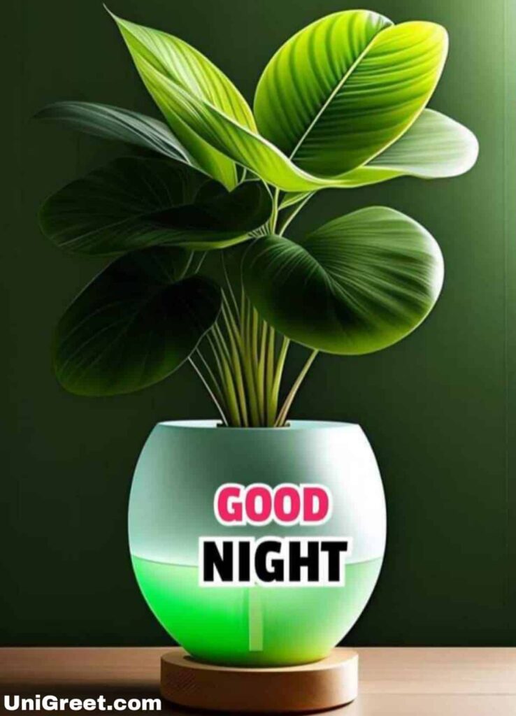 Special Good Night Image for Whatsapp